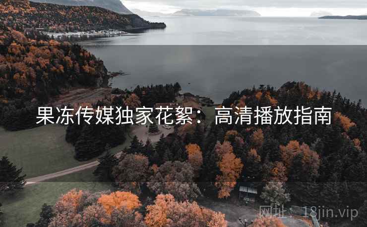 果冻传媒独家花絮：高清播放指南